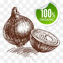 洋葱-空若网 洋葱-空若网