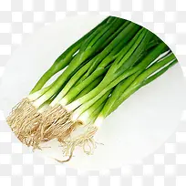 小葱食物美食营养-空若网 小葱食物美食营养-空若网
