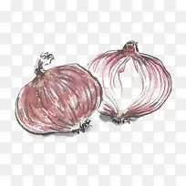 手绘洋葱-空若网 手绘洋葱-空若网
