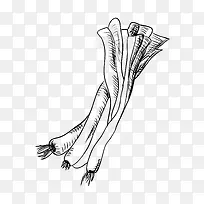 手绘葱-空若网 手绘葱-空若网