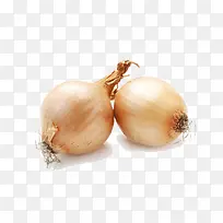 蔬菜圆葱-空若网 蔬菜圆葱-空若网