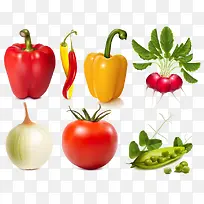 ÂÌÉ«Êß²Ë-¿ÕÈôÍø ÂÌÉ«Êß²Ë-¿ÕÈôÍø