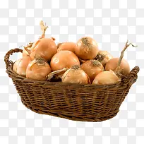 Êß²ËÔ²´Ð-¿ÕÈôÍø Êß²ËÔ²´Ð-¿ÕÈôÍø