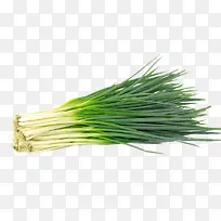 葱-空若网 葱-空若网