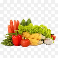 ÂÌÉ«Êß²Ë-¿ÕÈôÍø ÂÌÉ«Êß²Ë-¿ÕÈôÍø