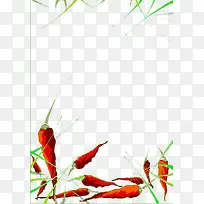 食物辣椒边框-空若网 食物辣椒边框-空若网