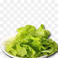 生菜蔬菜-空若网 生菜蔬菜-空若网