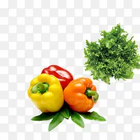 蔬菜-空若网 蔬菜-空若网