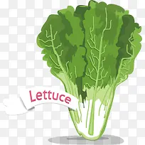 ݫ�������߲�ʸ���ز�-������