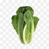 绿色蔬菜生菜-空若网 绿色蔬菜生菜-空若网