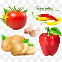 矢量蔬菜-空若网 矢量蔬菜-空若网