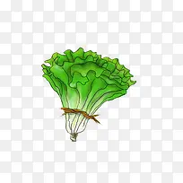 �߲��ֻ�-������