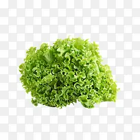 蔬菜之生菜-空若网 蔬菜之生菜-空若网