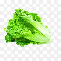 Éú²Ë-¿ÕÈôÍø Éú²Ë-¿ÕÈôÍø