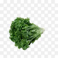 生菜-空若网 生菜-空若网