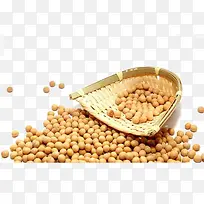 黄豆-空若网 黄豆-空若网
