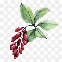 手绘 卡通 红豆-空若网 手绘 卡通 红豆-空若网