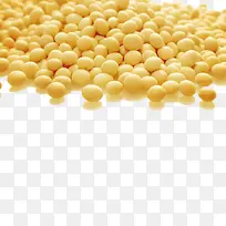 黄豆-空若网 黄豆-空若网