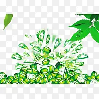 绿色豆子与冰块-空若网 绿色豆子与冰块-空若网