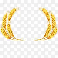 食物小麦-空若网 食物小麦-空若网