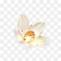 白色荷花花灯-空若网 白色荷花花灯-空若网