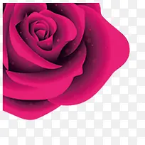 粉色系玫瑰-空若网 粉色系玫瑰-空若网