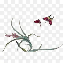 ²ÝÖ²Îï-¿ÕÈôÍø ²ÝÖ²Îï-¿ÕÈôÍø