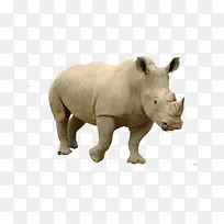 Ϭţ-������