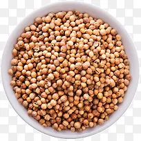 砂仁-空若网 砂仁-空若网