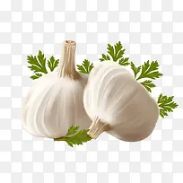 大蒜-空若网 大蒜-空若网