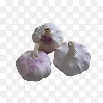 大蒜-空若网 大蒜-空若网