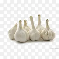 蒜-空若网 蒜-空若网