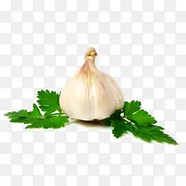 蒜-空若网 蒜-空若网