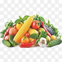 蔬菜-空若网 蔬菜-空若网