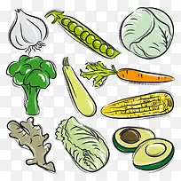 蔬菜-空若网 蔬菜-空若网