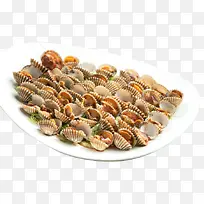 刺生血蚶-空若网 刺生血蚶-空若网