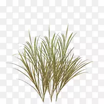 贴图桌面壁纸电脑图标.草-空若网 贴图桌面壁纸电脑图标.草-空若网