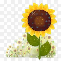 向日葵-空若网 向日葵-空若网