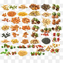 ʳ��-������