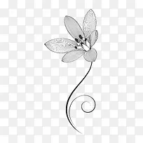 边框设计-空若网 边框设计-空若网