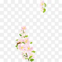 花卉边框设计-空若网 花卉边框设计-空若网