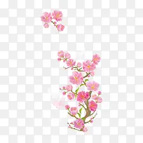 花卉边框设计-空若网 花卉边框设计-空若网