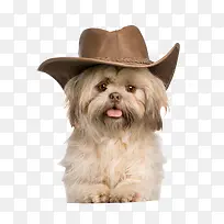 ����-������