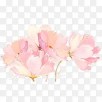 水彩装饰粉色鲜花-空若网 水彩装饰粉色鲜花-空若网