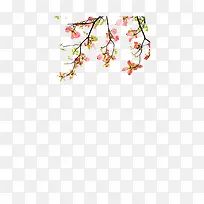 ·ÛÉ«ÌÒ»¨-¿ÕÈôÍø ·ÛÉ«ÌÒ»¨-¿ÕÈôÍø