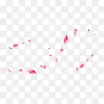 Ư���ز�-������