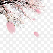 ����-������