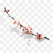 桃花-空若网 桃花-空若网