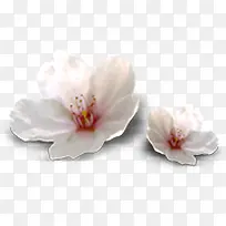 ������Ӱ�һ�����-������