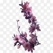 ������֦�һ�-������